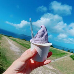 石垣島、ミルミル本舗。
青い空、青い海に紅芋&島豆腐ジェラートです✨