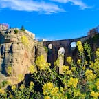 📍Ronda, Spain
スペインのアンダルシア州マラガ県にある街、ロンダ。
断崖絶壁に立つパラドールからの景色が最高だった！
下から見るヌエボ橋も絶景。