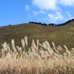 2020/11
#奈良
#曽爾高原