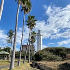 館山の野島崎灯台。館山は椰子の木があちこちに植えられてて、南国に来た感がありました🌴