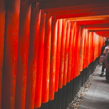 伏見稲荷大社

#伏見稲荷大社