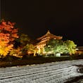 #京都#嵐山#鹿王院
#Kyoto #arashiyama #rokuoin
2020.11.20.fri.🍁