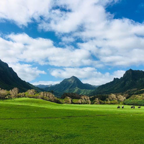 クアロア・ランチ