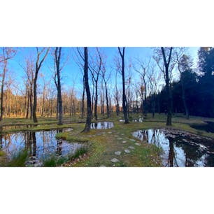 栃木
アートビオトープ那須
水庭
