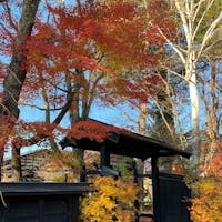 秋田 角館
武家屋敷通り
紅葉がまだまだ綺麗
