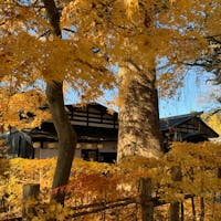 角館
武家屋敷通り
黄色のもみじも綺麗🍁