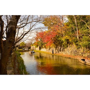 2020.11.22.SUN.🍂
#八幡堀　#近江八幡　#滋賀
#hachimanbori #omihachiman #shiga