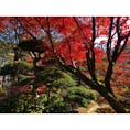 山中温泉にある松尾芭蕉記念館の庭。

#石川