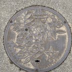 これも旭川　南天みたいな実だ！赤い身が緑道に植えてあった！