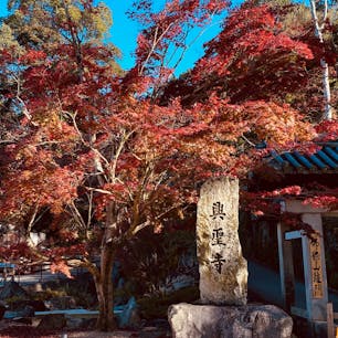 興聖寺
美しい紅葉の「琴坂」曹洞宗の名刹

1648年に永井尚政によって宇治の地に再興された寺院。琴坂は、カエデの紅葉の名所として人気だが、春などの新緑の時期など、四季を通じて季節感を味わうことができ、美しい日本の古き良き風景を楽しむことができる。

#京都　#神社仏閣 #サント船長の写真
#紅葉