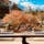 興聖寺
美しい紅葉の「琴坂」曹洞宗の名刹
竜宮門の二階から撮影しました😃

#京都　#神社仏閣 #サント船長の写真
#絶景ポイント　#紅葉