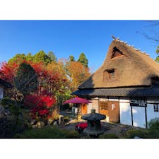 ゆのくにの森は、なかなか穴場の紅葉スポット。庭園を見ながらお茶ができるお店。

#石川