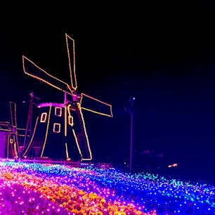 イルミネーションとても綺麗でした。
思ってたよりもかなり広かったハウステンボス。