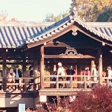 東福寺　(通天橋)

 #サント船長の写真  #日本の神社仏閣
#紅葉