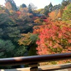 東福寺　(通天橋)


#京都　#神社仏閣 #サント船長の写真
#紅葉