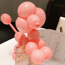 ROYAL WING YOKOHAMA
2017/5/6
#神奈川