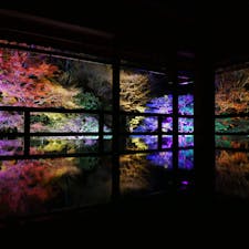 〰️Shiga🍁〰️
#滋賀#旧竹林院#旧竹林院ライトアップ