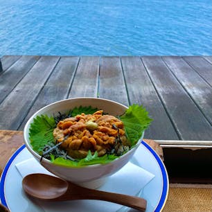 熱海　麦とろ童子🍚
ふわふわの自然薯と雲丹のハーモニー♪
雲丹とろは限定みたいだけど、いくらやローストビーフ、明太子も美味しそうだった！かに汁、小鉢、デザートまでつくの✨
ロケーションも店主も最高です🤣
人気店のようなので、お昼時を外すと良いかもです🙆‍♀️
