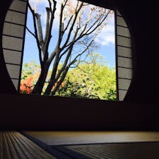 姫路市
#好古園 #茶室 #紅葉