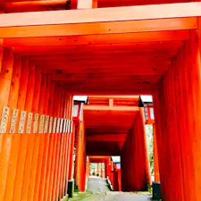 島根県津和野町
太皷谷稲成神社