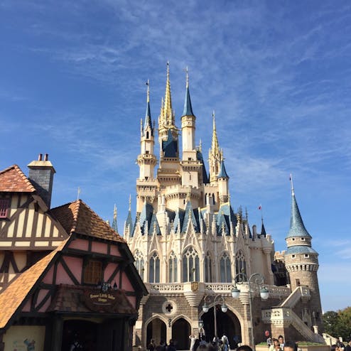 東京ディズニーランド