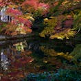 水面に映る紅葉もまた綺麗。
3年ほど前の写真なので京都のどこで撮ったかは忘れたけど…

#京都府 #紅葉