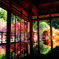 紅葉の時期に佐賀県にある環境芸術の森で撮影しました😊
机に反射する紅葉が幻想的です😄