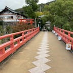 朝霧橋（あさぎりばし）


#京都　#全国橋巡り　#サント船長の写真