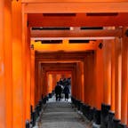 #伏見稲荷大社 #京都
2020年11月

奉納した人のお名前や奉納された時期を見ながら
歩くのがたのしい🚶‍♀️お金持ちだったら私も奉納したい