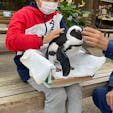 松江フォーゲルパーク
鳥との距離感がとても近く、直接触れ合うことができるイベントには、子供も大喜び！

島根に行った子連れ旅行には、ぜひ行ってもらたい施設です！