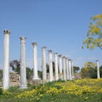 北キプロス　ファマグスタ近郊のサラミス遺跡