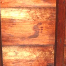 京都　源光庵

京都の各所に見られる血天井の中でも源光庵本堂の血天井は特に有名で、訪れた人が見上げています。

　安土桃山時代の慶長５年（1600）の関ケ原の戦いの前哨戦と言われる伏見城の戦いは、小早川秀秋らが率いる西軍と伏見城を守っていた鳥居元忠（とりいもとただ）の東軍が戦いました。

　元忠は西軍の攻撃に対し耐えていましたが、ついに力尽きて380名の一党とともに自刃しました。この時に伏見城を染めた血が今に見られる血天井です。

　伏見城は明治維新の後で壊され、残った廃材が各所に配られました。その一部が源光庵本堂の廊下に使われました。

#京都　#神社仏閣　#サント船長の写真　#血天井