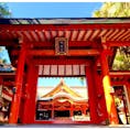 今年の旅収めは宮崎県から。
冬とは思えない暖かさ。南国って言われるのがなんか分かった気がする 
from青島神社