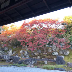 圓徳院

まったりしてみました。
