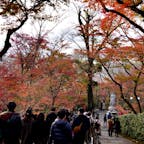 #永観堂禅林寺 #京都
2020年12月

紅葉の永観堂🍁

きっと本当のベスト週ではなかったんだろうけど、
それでも今回京都で訪れた場所で断トツ綺麗だった☺️☺️