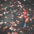 #永観堂禅林寺 #京都
2020年12月

中庭の池、紅葉越しの鯉🍁