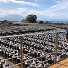 坂元のくろず「坪畑」