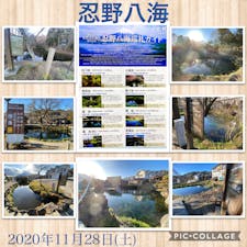 2020年11月28日(土)
世界文化遺産で天然記念物の「忍野八海」
とても水が綺麗で神秘的でした✨

#忍野八海 #出口池 #銚子池 #湧池 #濁池 #鏡池 #菖蒲池 #中池 #山梨 #世界文化遺産 #天然記念物 #名水百選