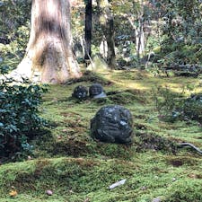 大原三千院
わらべ地蔵😌