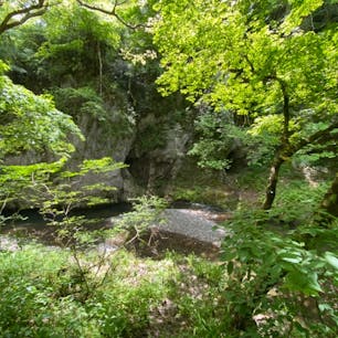帝釈峡　

#雄橋 #全国橋巡り　#サント船長の写真