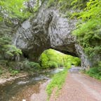 帝釈峡　雄橋(おんばし)

全長90m・幅18m・厚さ24m・川底からの高さ40mで、日本を代表し世界でも類を見ない石灰岩の天然橋です。渓水の浸食作用により、巨大な岩盤の下部が長い年月をかけて貫通して出来ました。この橋を架けたのは「神様」または「鬼」ともいわれ、神秘的な佇まいを留めます。その昔、東城と西城・庄原方面を結ぶ街道として人通りも多く、馬や籠も通っていました。備後路を往来する人々が使用していた形跡が今でも残っています。

所在地 広島県庄原市東城町帝釈未渡

#雄橋 #全国橋巡り　#サント船長の写真　#奇石