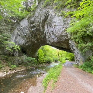 帝釈峡　雄橋(おんばし)

全長90m・幅18m・厚さ24m・川底からの高さ40mで、日本を代表し世界でも類を見ない石灰岩の天然橋です。渓水の浸食作用により、巨大な岩盤の下部が長い年月をかけて貫通して出来ました。この橋を架けたのは「神様」または「鬼」ともいわれ、神秘的な佇まいを留めます。その昔、東城と西城・庄原方面を結ぶ街道として人通りも多く、馬や籠も通っていました。備後路を往来する人々が使用していた形跡が今でも残っています。

所在地 広島県庄原市東城町帝釈未渡

#雄橋 #全国橋巡り　#サント船長の写真　#奇石