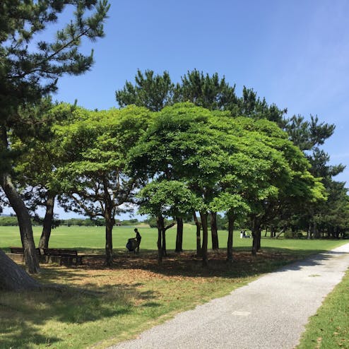 海の中道海浜公園