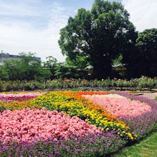 動物園からは無料スロープカーで移動。敷地が広くて気持ちが良い #福岡 #福岡市動植物園 #年パス #2歳子連れ旅 2020.6月