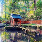 ﻿神聖な場所﻿
﻿
﻿
#ishiyamadera #temple #shiga #japan ﻿
#hachidairyuosha #shrine﻿
#石山寺 #八大龍王社 
#お寺 #神社 #神社仏閣﻿
#大津 #滋賀 #日本