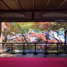 柳谷観音の紅葉
#柳谷観音#楊谷寺