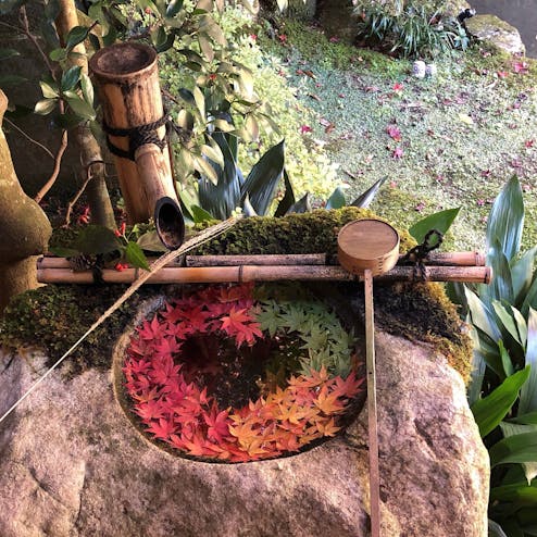 柳谷観音(楊谷寺)