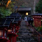 #貴船神社 #京都
2020年12月

学生時代は遠くで足を伸ばせなかった貴船神社⛩
紅葉シーズンには間に合わなかったけど行けて良かった
