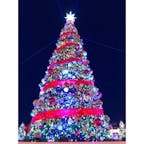 #イルミネーション
#ラグーナ#蒲郡
#愛知