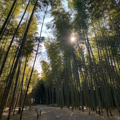 若竹の社 若山農場